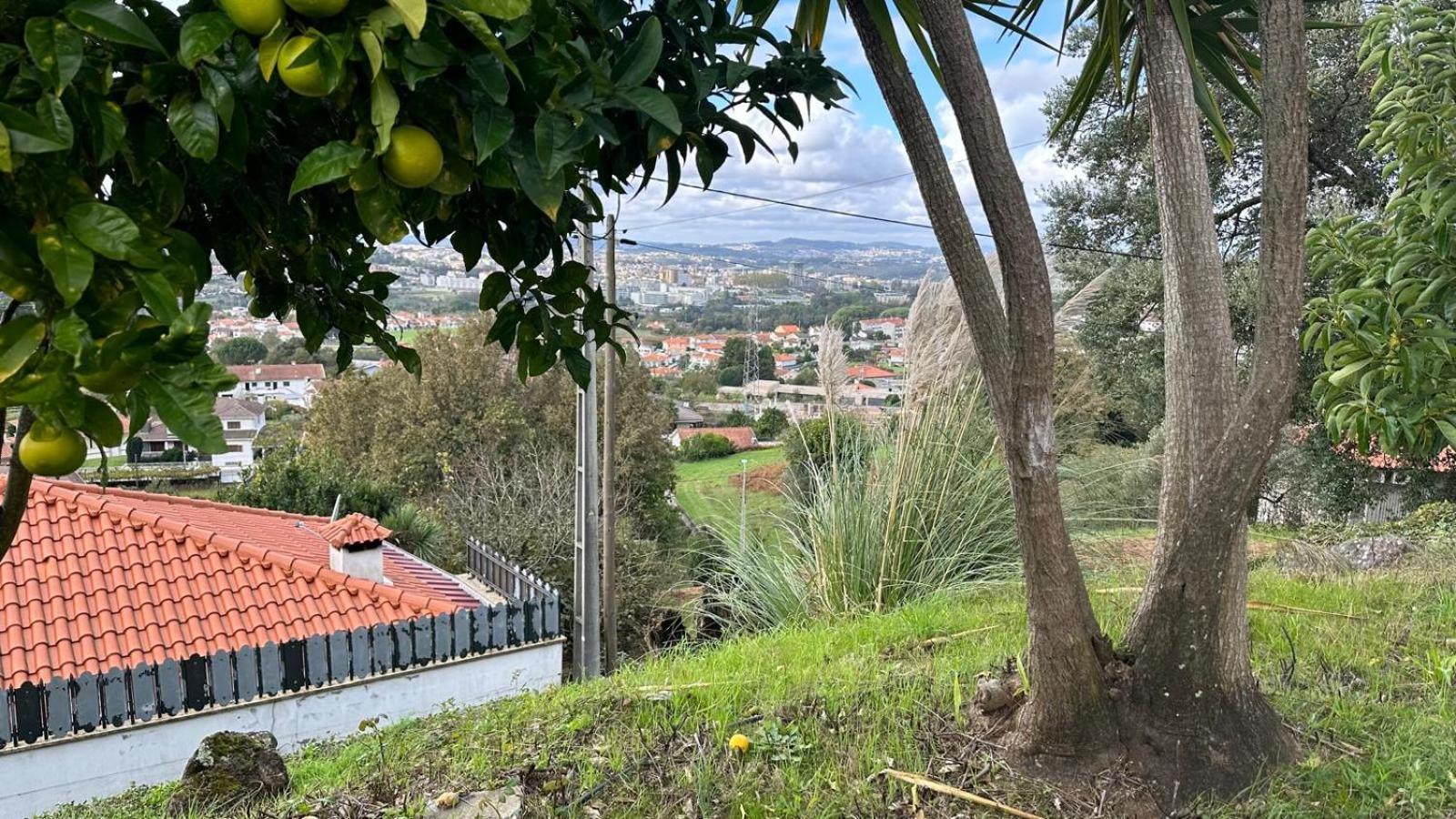 Cerca Do Casal Villa Santo Tirso Bagian luar foto